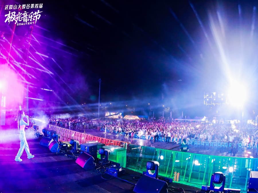 音乐节策划公司 (1)