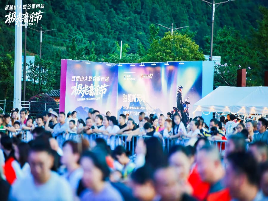 音乐节策划公司 (4)