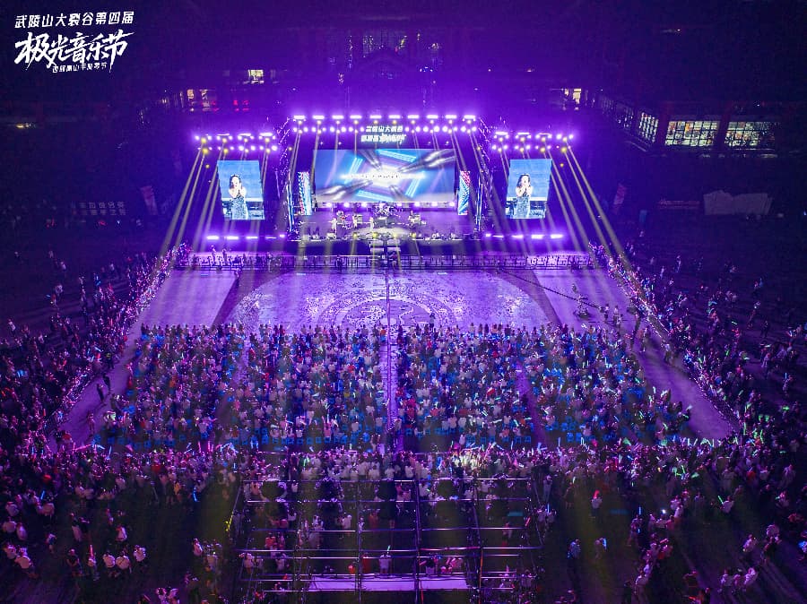 音乐节策划公司 (7)