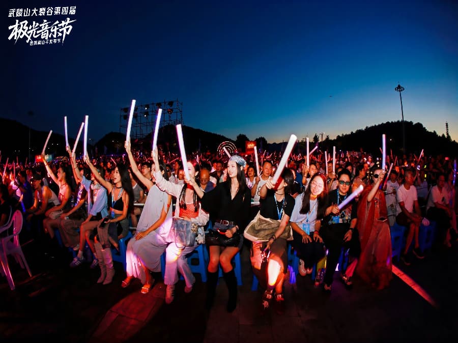 音乐节策划公司 (5)