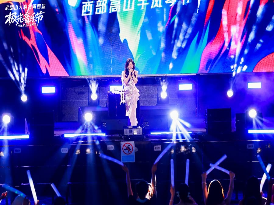 音乐节策划公司 (14)