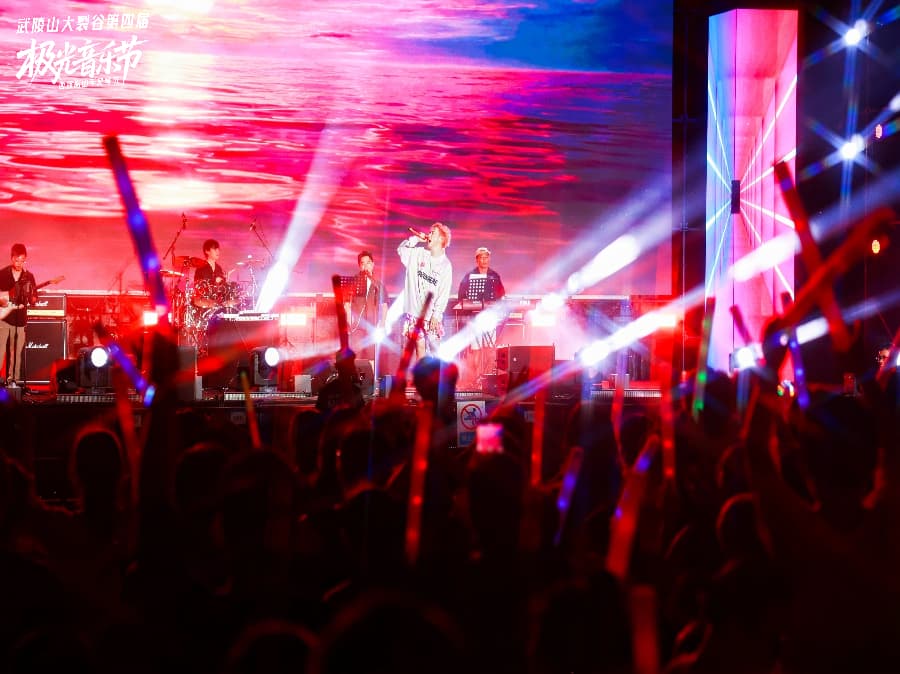 音乐节策划公司 (19)