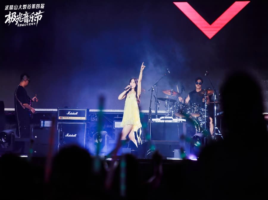 音乐节策划公司 (23)